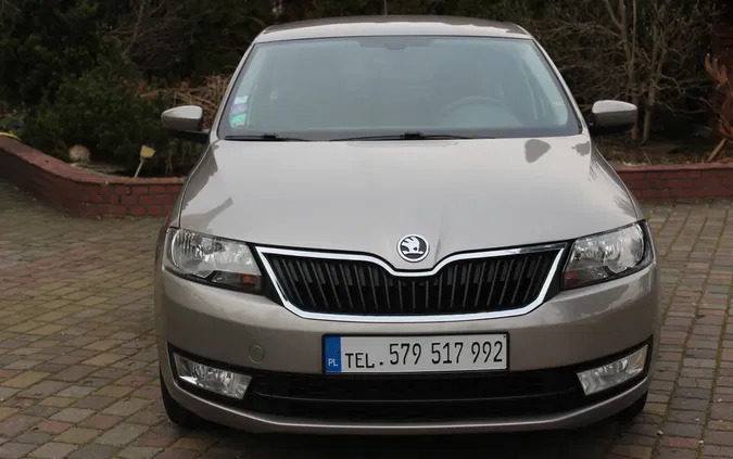 baranów sandomierski Skoda RAPID cena 35900 przebieg: 63995, rok produkcji 2014 z Baranów Sandomierski